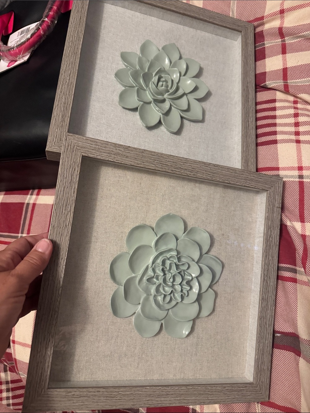 Unbranded Sage Green Succulent Framed Wall Art - Set of 2